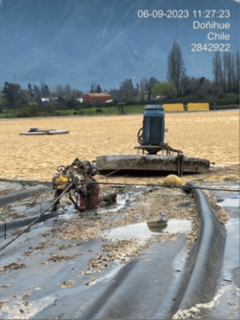 Buceo en aguas contaminadas