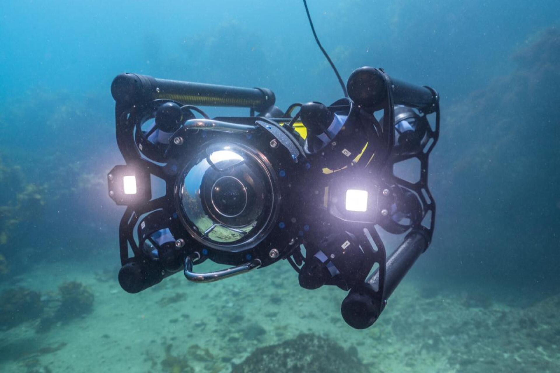Fotografía y filmación submarina